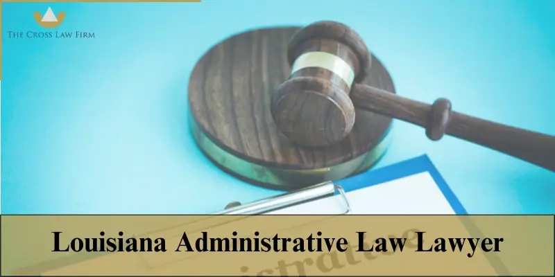 louisiana administrative law lawyer