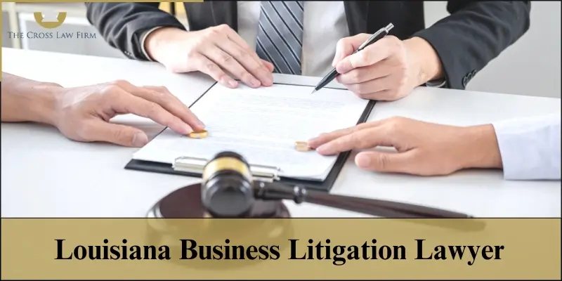 louisiana business litigation lawyer louisiana business litigation lawyer